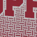 minnesota golden gophers