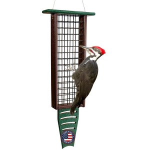 JCS Wildlife Recycled Suet Feeder w/ Tail Prop - 1 of 4
