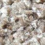 tan, brown, mustard, dark brown, ivory