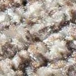 tan, brown, mustard, dark brown, ivory