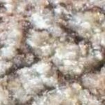 tan, brown, mustard, dark brown, ivory