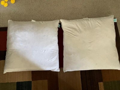Martha Stewart Living 100% Cotton Decorative Feather Medium Firm Pillow  Insert (2-Pack) MS200906K - The Home Depot