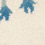 beige/blue
