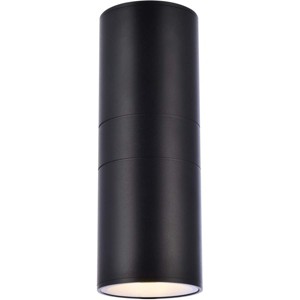 Elegant Lighting Raine Outdoor Wall in black - 1 of 4
