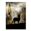 Trademark Fine Art - LightBoxJournal Mystic Deer Matted Framed Art - 2 of 3