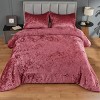 Juliette Luxe Comforter Set Velvet Lush with Soft Brushed Microfiber Reverse, Fluffy Comforter Bed Set, Matching Sham - 3 of 4