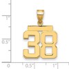 Black Bow Jewelry 14k Yellow Gold, Athletic Collection Medium Polished Number 38 Pendant - 2 of 3