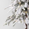 Pre-lit LED Dewdrop Downswept Flocked Balsam Fir with Basket Artificial Christmas Tree Warm White Lights - Wondershop™ - image 3 of 3