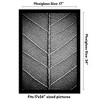 Americanflat 17x24 Picture Frame with Polished Plexiglass - Black Picture Frame with Engineered Wood - Epic Collection - 2 of 4