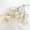 Alilang Decorative Dried Leafy Branches for Modern Home Decoration and Floral Arrangements, 15.5 Inches - 3 of 3