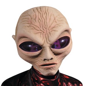 Adults Alien Grey Mask - 1 of 1