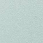 Light Mint Green