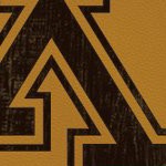 minnesota golden gophers
