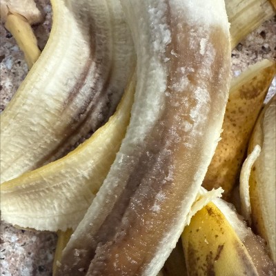 Guest review image 3 of 3, zoom in