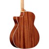 Alvarez AG60CE 8-String Grand Auditorium Acoustic-Electric Guitar Shadow Burst - 2 of 4