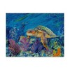 Trademark Fine Art -Lucy P. Mctier 'Loggerhead Turtle' Canvas Art - 2 of 3