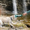 Pavilion Gift Company - River Dog - 12" Canvas Dog Toy on Rope  - Pet Toy - 2 of 4