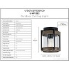 Urban Ambiance Luxury Farmhouse Outdoor Ceiling Light 8''H x 7.375''W,  Midnight Black Finish,  Newark Collection, UHP1352 - 3 of 4