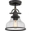 Quoizel Lighting Grant 1 - Light Pendant in  Palladian Bronze - 4 of 4