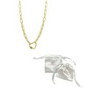 Adornia 14k Gold Plated Paper Clip Chain With Rainbow Heart Screw Lock - 3 of 3