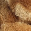 Aurora® Mini Flopsie™ Clever Coyote™ 8 Inch Stuffed Animal Plush - 3 of 3