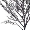National Tree Company 5.6 ft Halloween Thirsty Tree - 3 of 4