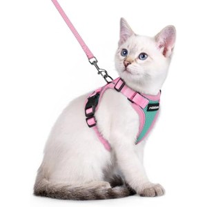 rabbitgoo Cat Harness and Leash Set, Escape , Easy Control Breathable Kitten Jacket with Reflective Strips, Green & Pink, XXS - 1 of 1