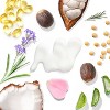 SPECIAL OFFER 2 FOR 1 Tree to Tub Cocoa & Shea Butter Anti-Aging Hand Cream for Dry Hands, 2 units - 2 of 4