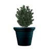 HC Companies 17 Inch Outdoor and Indoor Terrazzo Round House Planter with Heavy Rim for Flowers, Vegetables, and Succulents, Black - 4 of 4