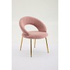 Gulches Pink Teddy Fabric Dining Chair - Ergonomic Curved Backrest, Sturdy Golden Metal Legs, 250 LBS Capacity for Kitchen/Dining Room (Set of 1) - 4 of 4