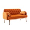 Modern Velvet Loveseat Sofa , Comfy Upholstered 2-Seater Sofa with Gold Metal Legs - 2 of 4