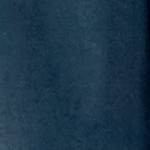 blue indigo