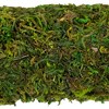 Northlight Artificial Reindeer Moss Square Spring Wreath - 13" - 4 of 4