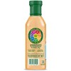 Walden Farms Street Taco Sauce Taco Ranch -  Spicy Taco Ranch Flavor, 12 oz Bottle - 2 of 4