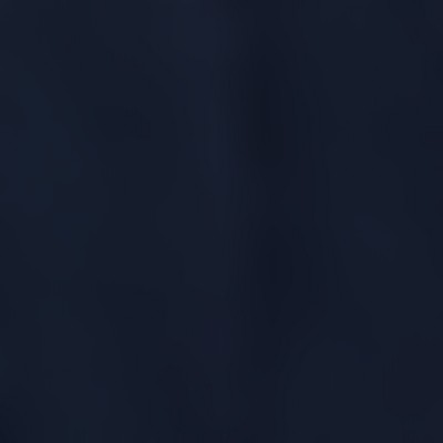 rxsw3100391-navy