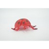 Collectible Wildlife Gifts | Ladybug, Beetle, Coccinellidae, Lady bug, Rubber Insect, Toy,  Realistic Figure,  Model,   Gift,      3"     ABC12 B263 - 4 of 4