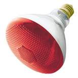 LB International Incandescent Weatherproof 100 Watt Indoor/Outdoor Red Floodlight Bulb
