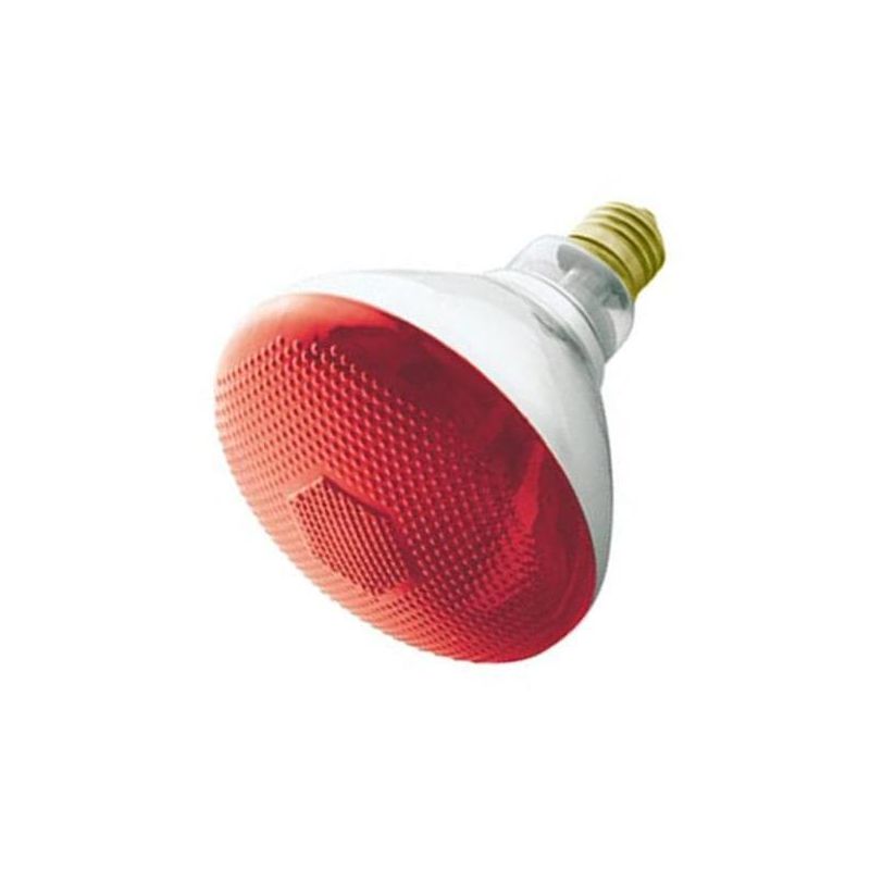 LB International Incandescent Weatherproof 100 Watt Indoor/Outdoor Red Floodlight Bulb, 1 of 2