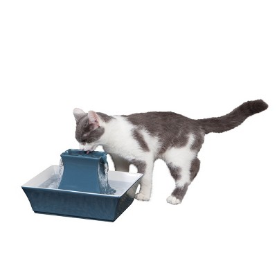 Drinkwell cat water fountain battery outlet operated