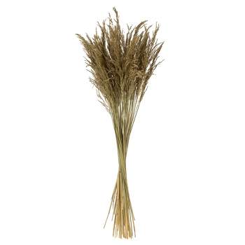 Vickerman 36" Congo Grass Bundle, 8 oz Dried