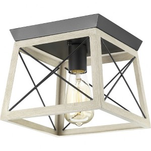 Progress Lighting Briarwood 1-Light Flush Mount, Graphite Finish, Faux-Painted Wood Enclosure - 1 of 4