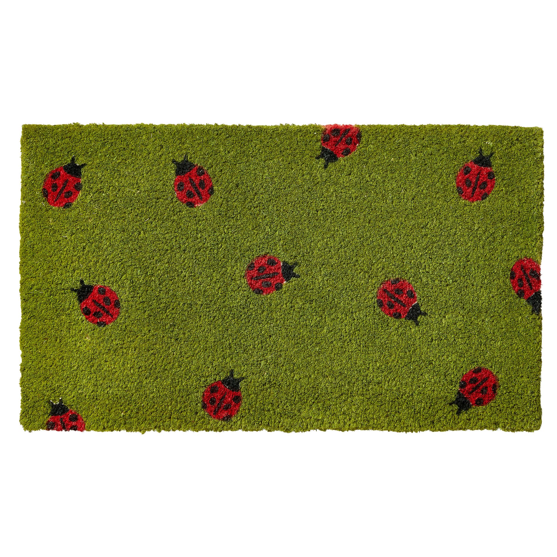 tag Ladybug Coir Door Mat - Everyday Green Doormat, 30" x 17" x 1", Shake Clean, Perfect for Home Entryway