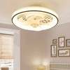 Airsurfer Multi-Directional Light Socket Fan with Remote 13" Screw-in Ceiling Fan - 2 of 4
