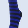 Thin Striped Pattern Knee High Socks from the Sock Panda (Women's Sizes, Adult Medium) - 3 of 3