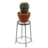 Indoor/Outdoor Diamond Shaped Argyle Iron Plant Stand Roman Bronze - Achla Designs - image 3 of 4