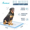 PetsWorld Gigantic (36x36 inch) Dog Training & Potty Pads - 2 of 4