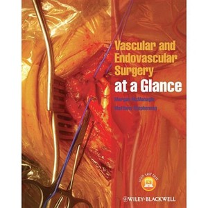 Vascular and Endovascular Surgery at a Glance - (At a Glance) by  Morgan McMonagle & Matthew Stephenson (Paperback) - 1 of 1