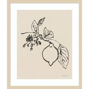 Amanti Art 21"x25" Citrus Summer III Crop by Danhui Nai Wood Framed Wall Art Print: Modern Style, Lithograph, Hardwood Frame, Wire Mount - 1 of 4