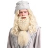 HalloweenCostumes.com One Size Fits Most   Headmaster Wizard Wig and Beard for Adults, Natural - 3 of 4