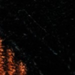 checker orange